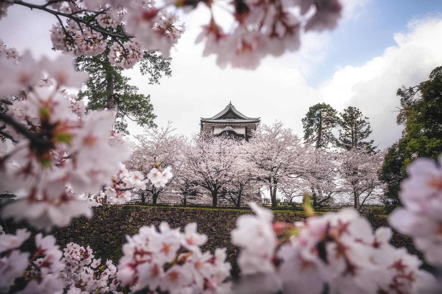 , Козаченко Алексей