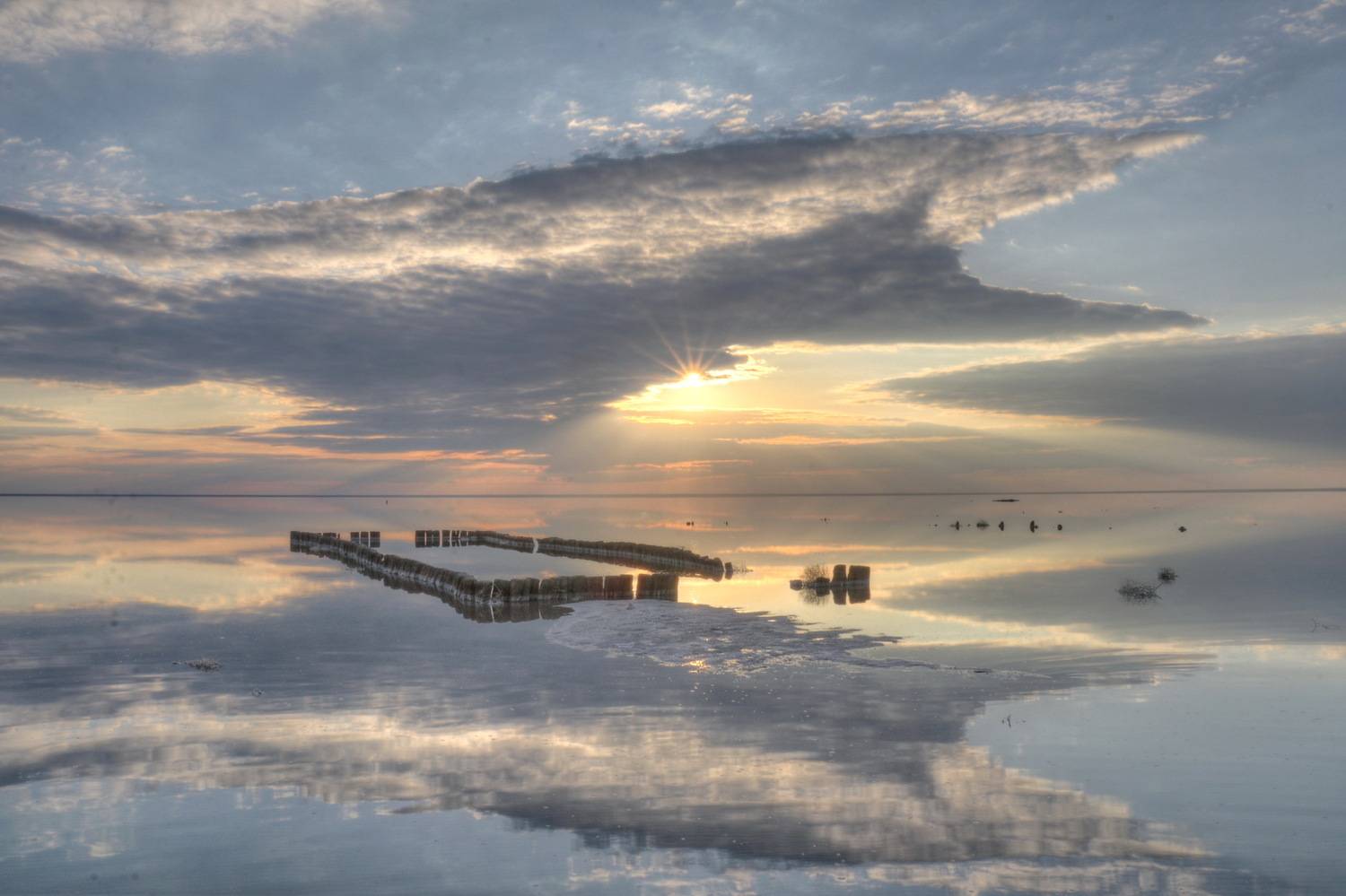 , Добролюбова Тамара