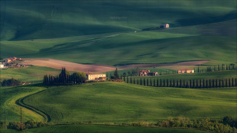 italy,san quirico d\'orcia,italia,италия,тоскана,pienza,кипарис,toscana,весна,tuscany,cipressi,belvedere,пьенца,тени,ruralхолмы Свет и тени Тосканы фото превью