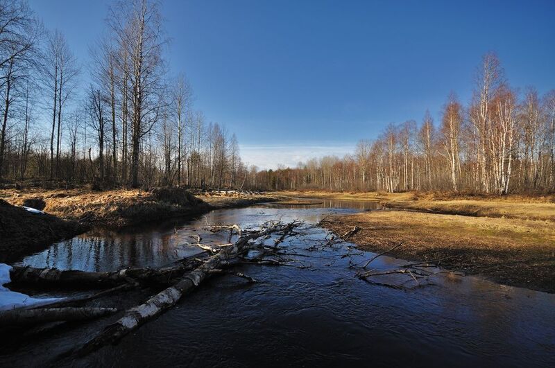 Весенняя Барановка фото превью