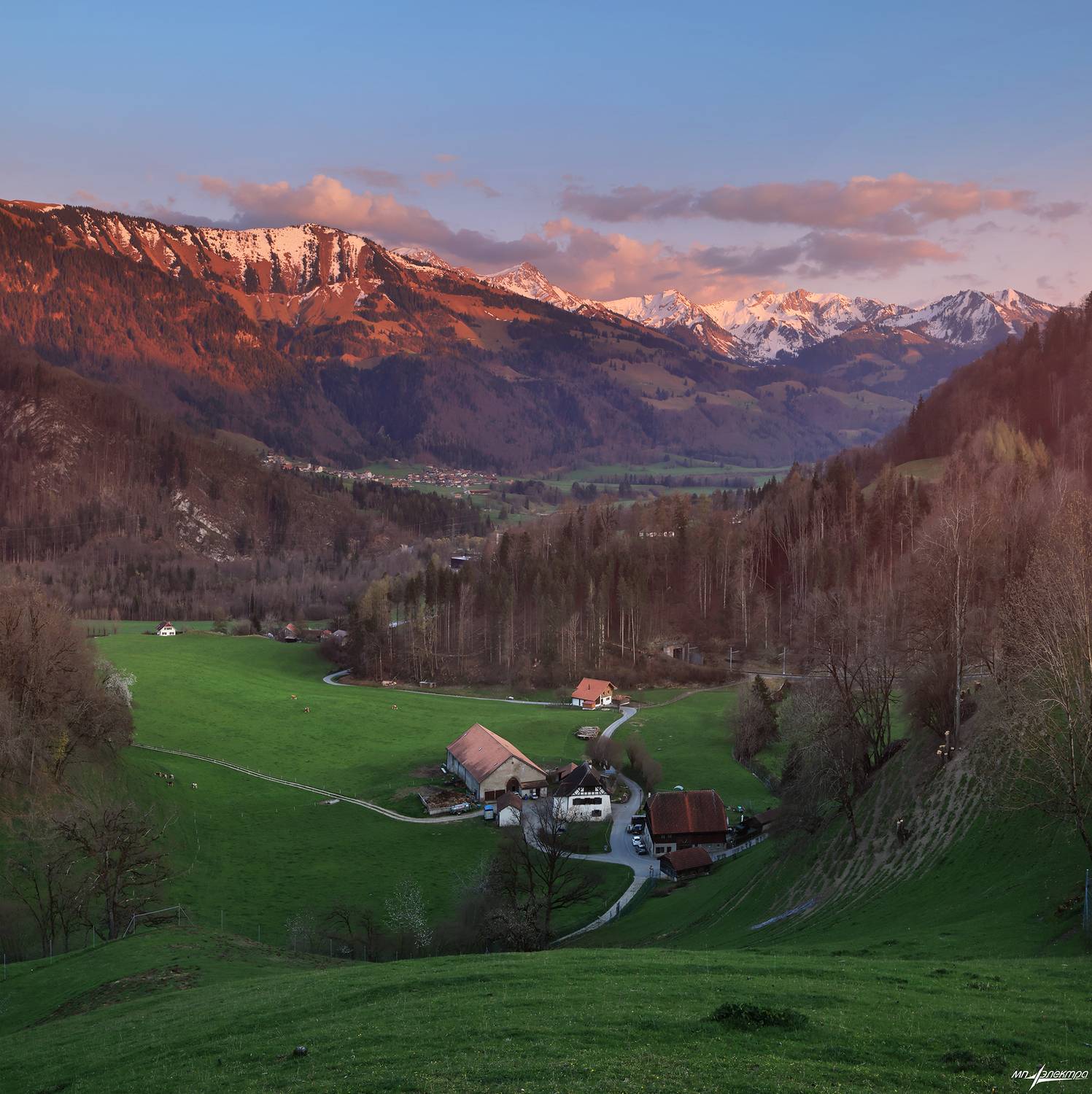 swiss, Матвеев Николай