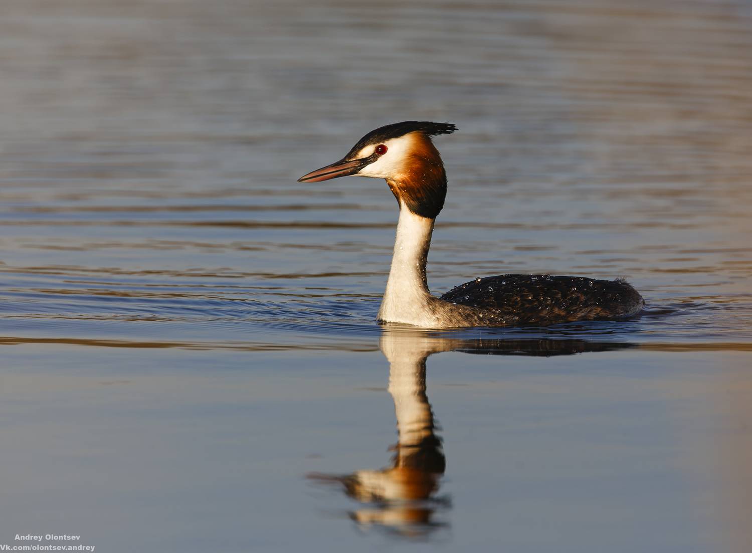 солнце, россия, рассвет, природа, подмосковье, погода, пейзажи, пейзаж, отражение, наукоград, красота, дубна, вода, весна, weather, water, spring, russia, reflection, naukograd, nature, moscow, landscape, dawn, canon, dubna, beauty, Олонцев Андрей