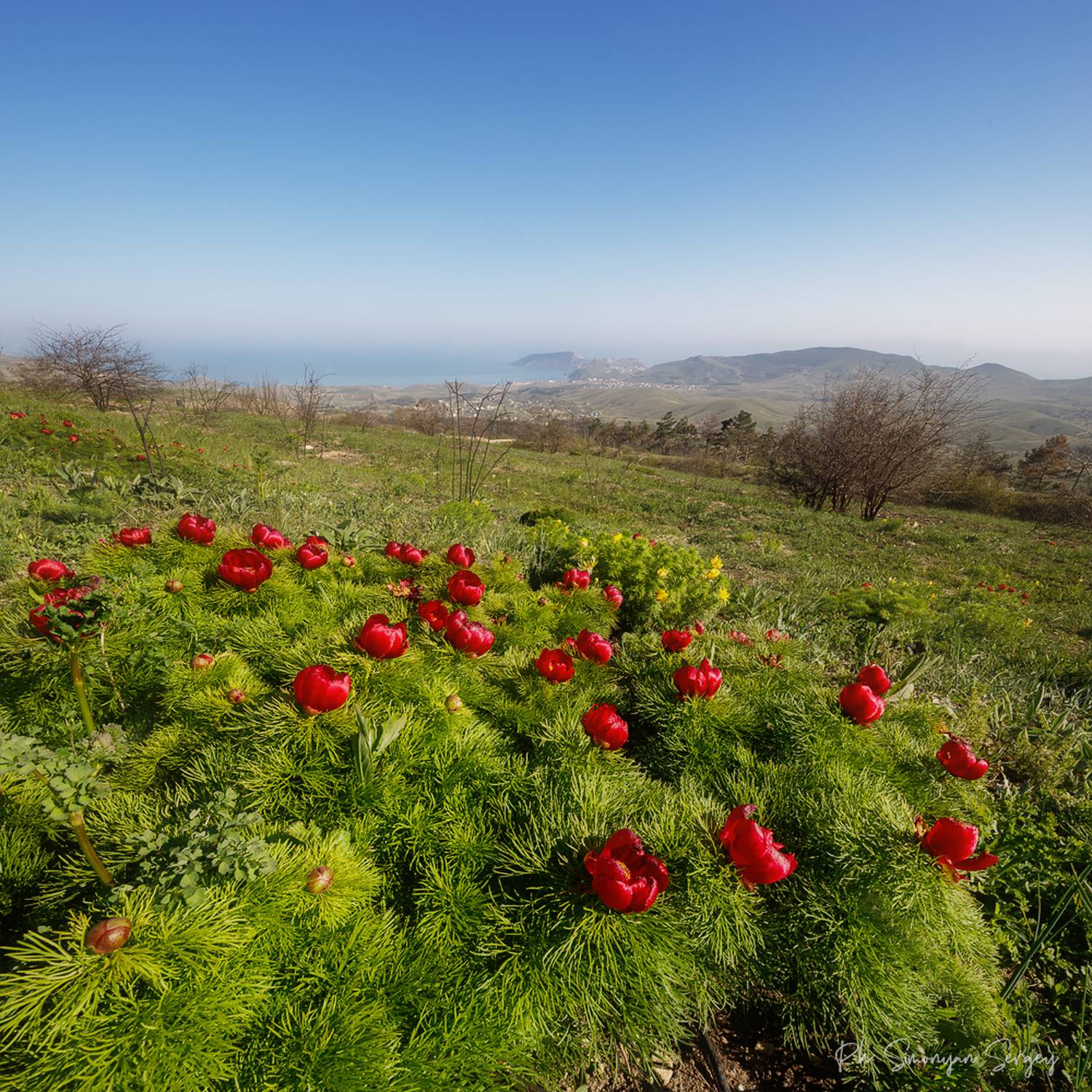 , Симонян Сергей