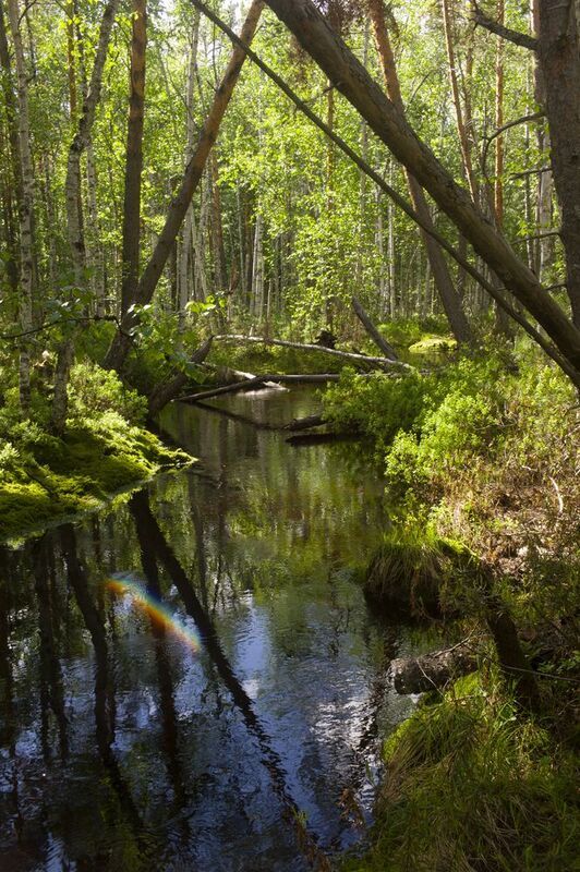 \\\\ фото превью