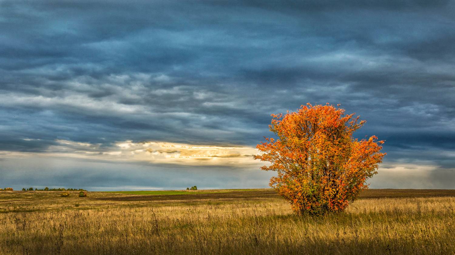 , Ушаков Валерий