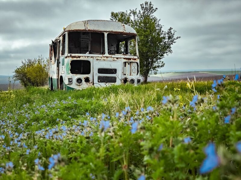 Заброшенный автобус где-то в Крыму.. фото превью