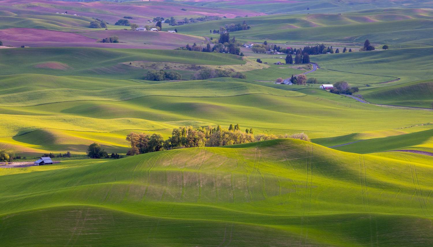 , Лозицкий Александр