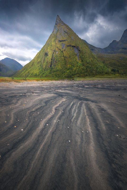 The Sorting Hat  фото превью