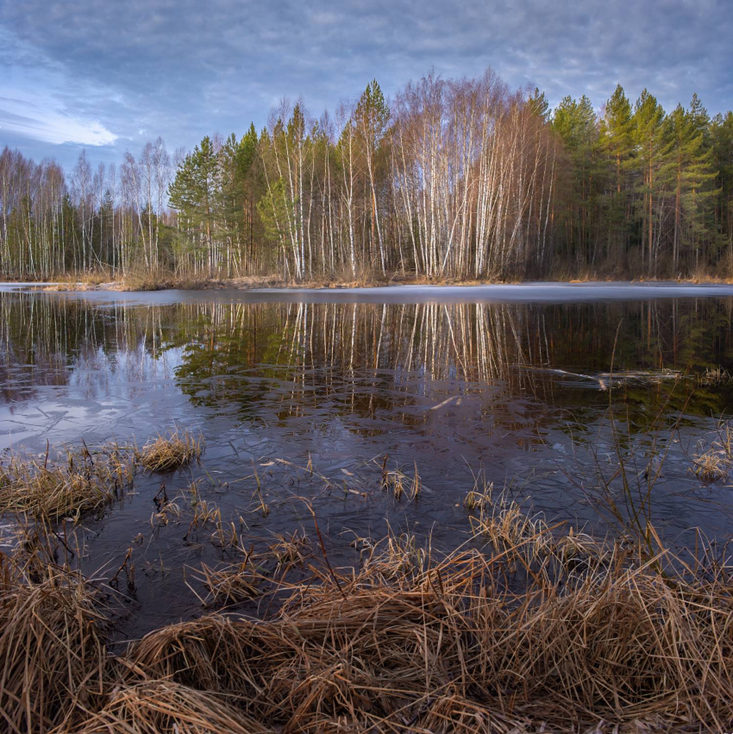 апрель утро ледок суходол половодье серково, Алексеев Дмитрий