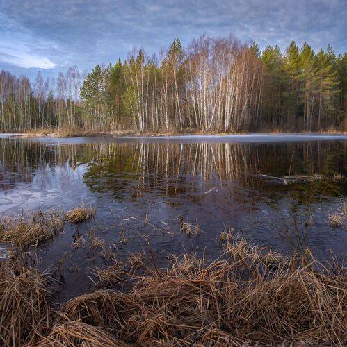 Утро последнего льда