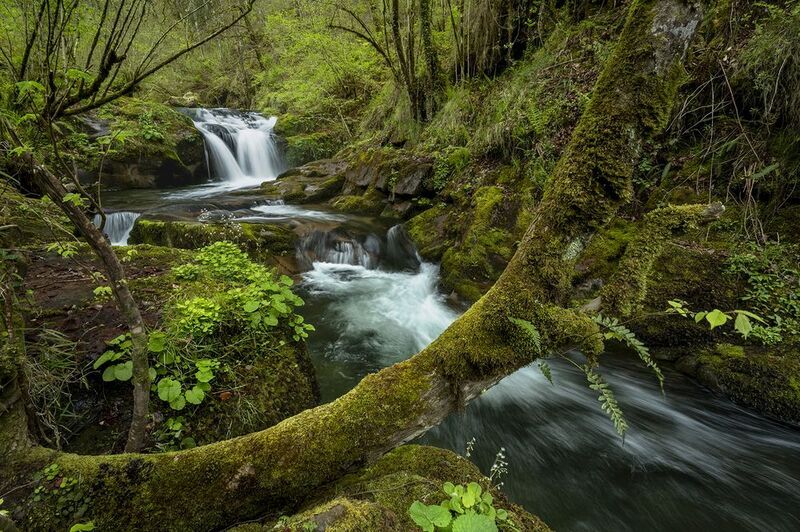 photo, photography, picture, land, landscape, nature, autumn, river, color, mood , colorful, snow, winter,color,nobody,mountains,storm Lecho primaveral фото превью
