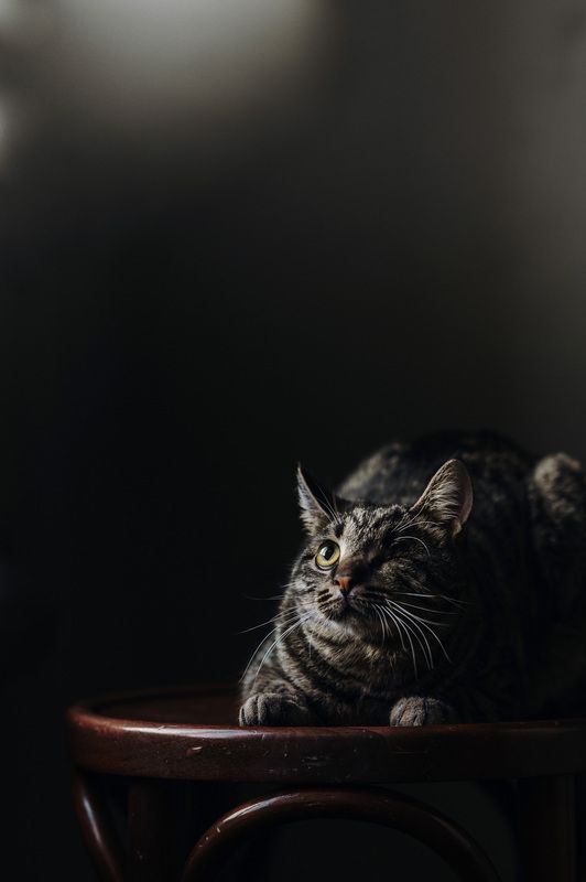 Вася фото превью