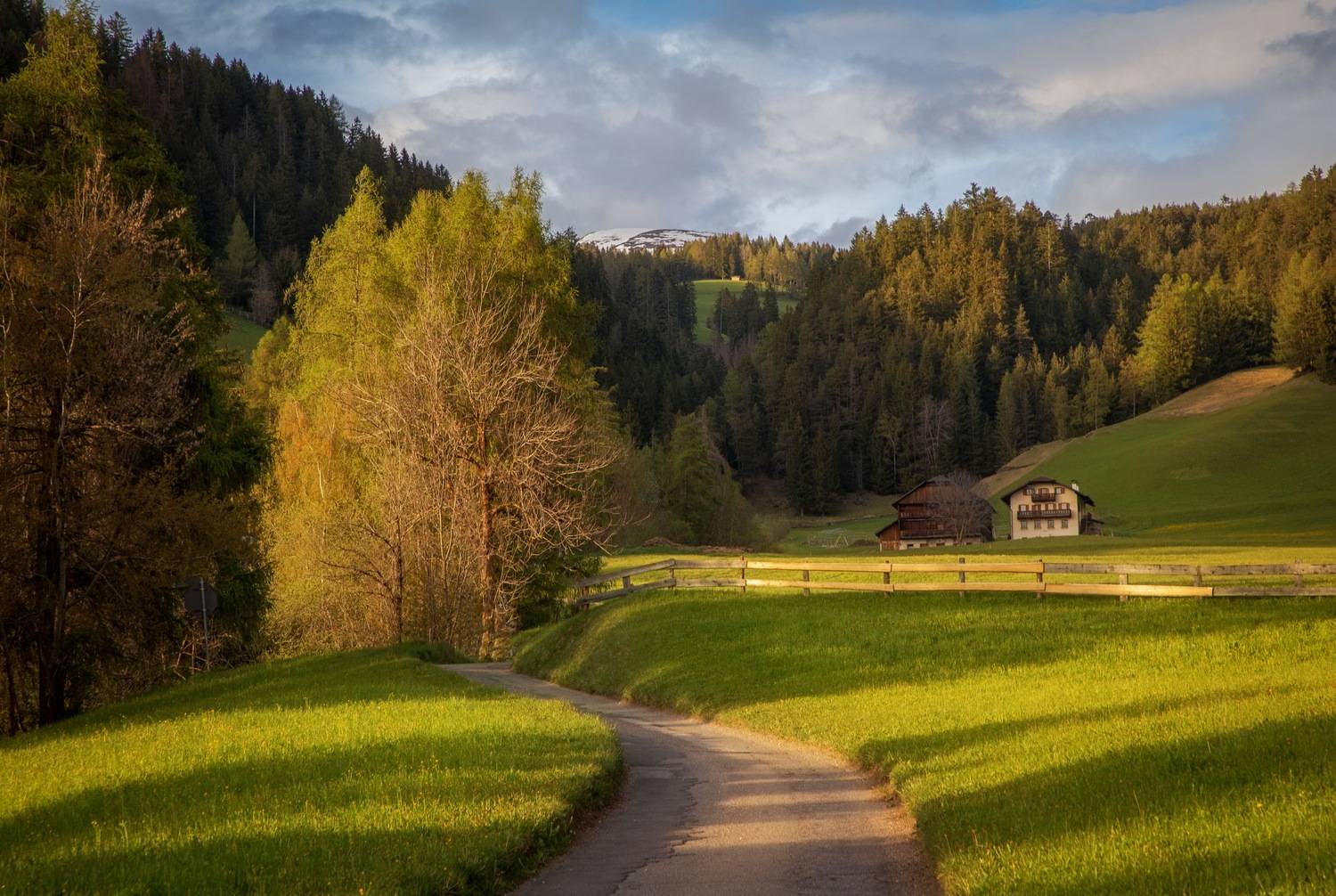 , Алекс Римский