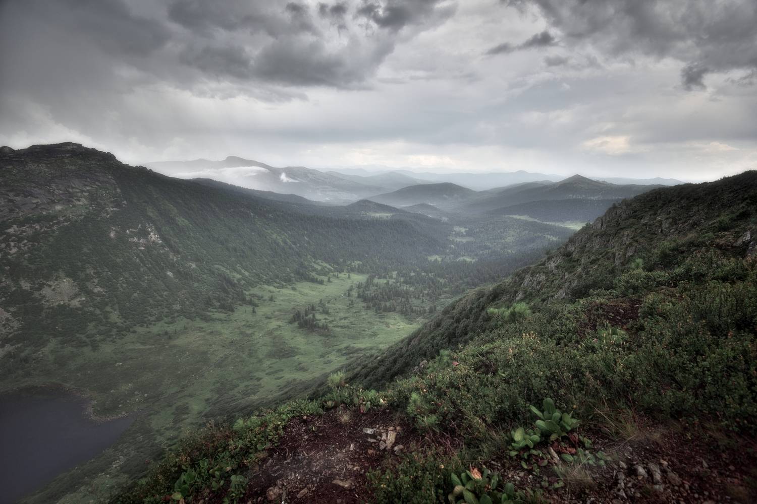 , Алексей Никонов