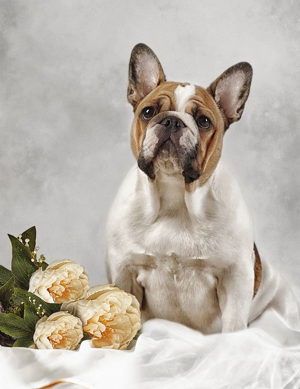 , Софронова Ольга