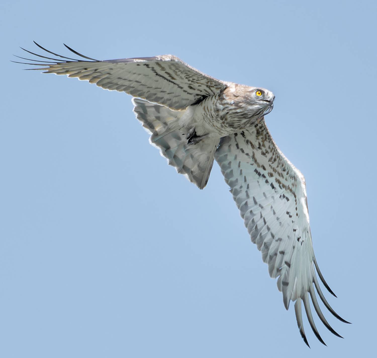 , Фото Александр