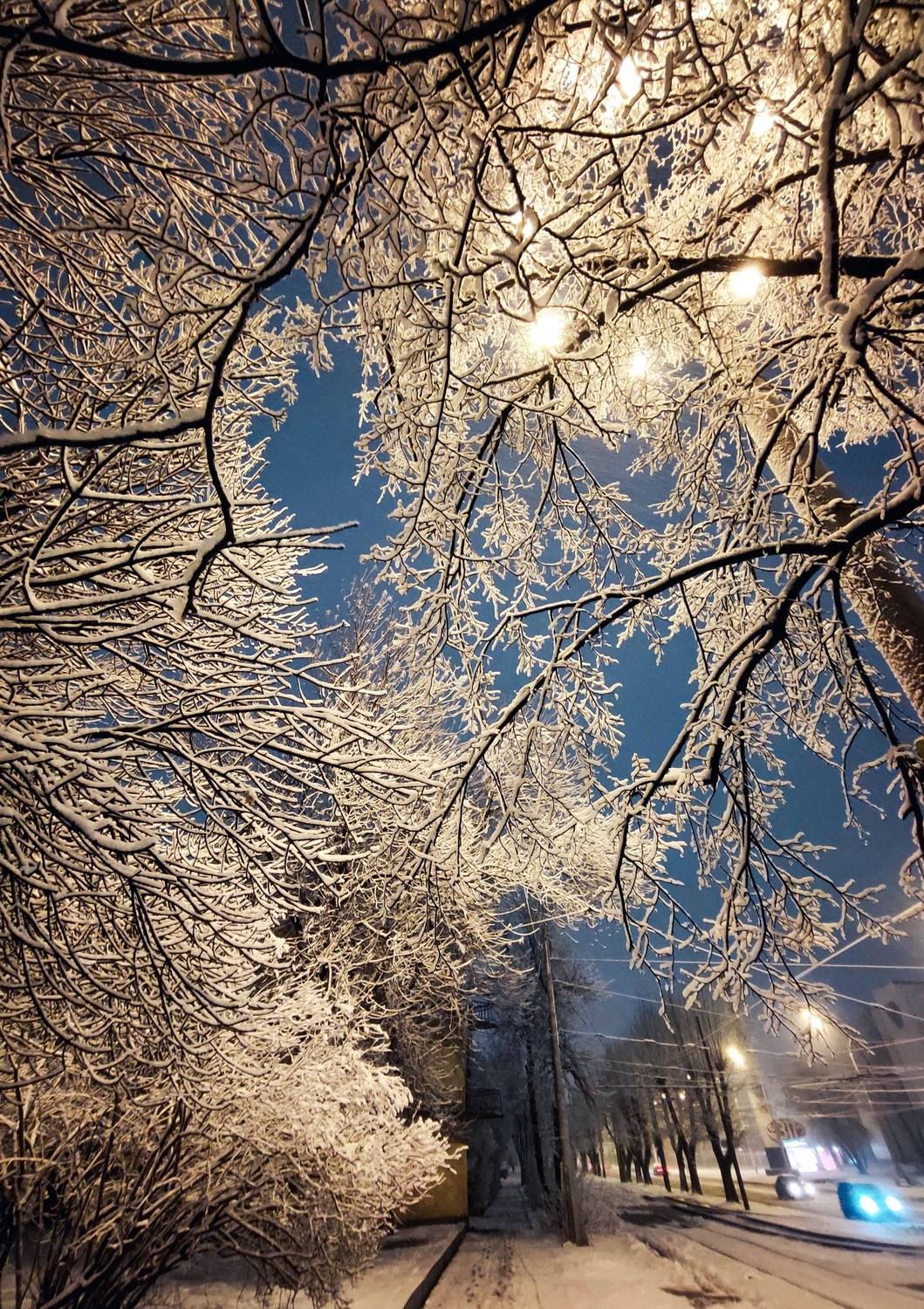 , Всеволод Сахновский