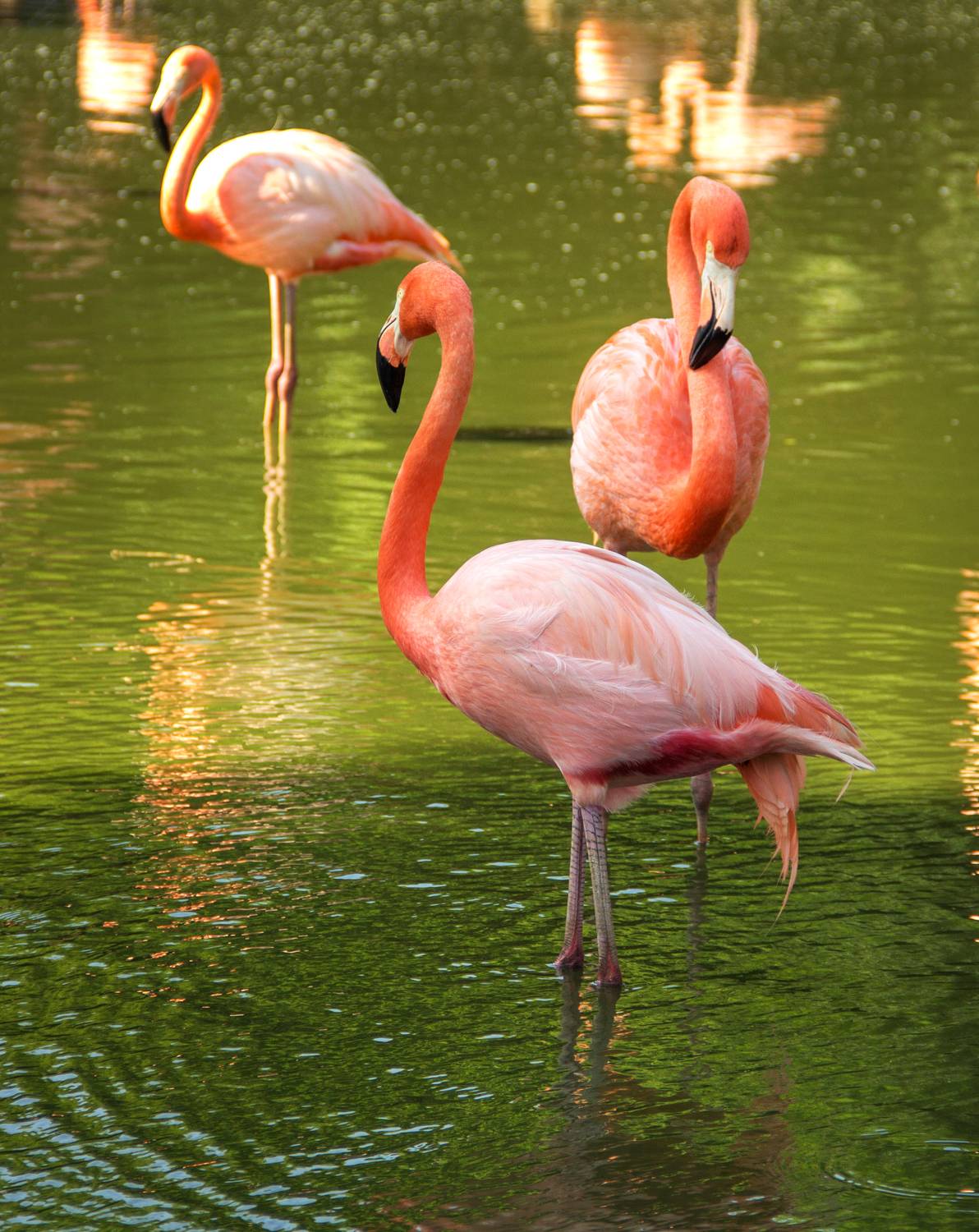 , Артем Удодов