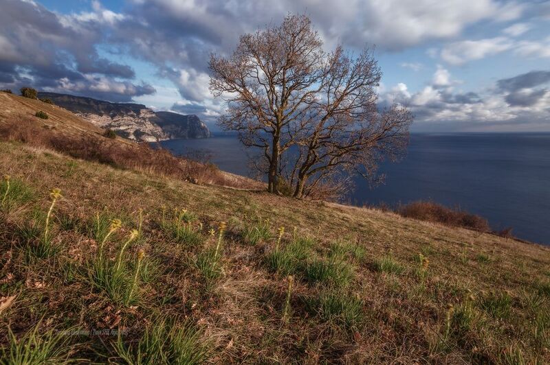 крым, балаклава, севастополь, пейзаж, crimea, landscape, крымский пейзаж, морской пейзаж Смена погоды фото превью