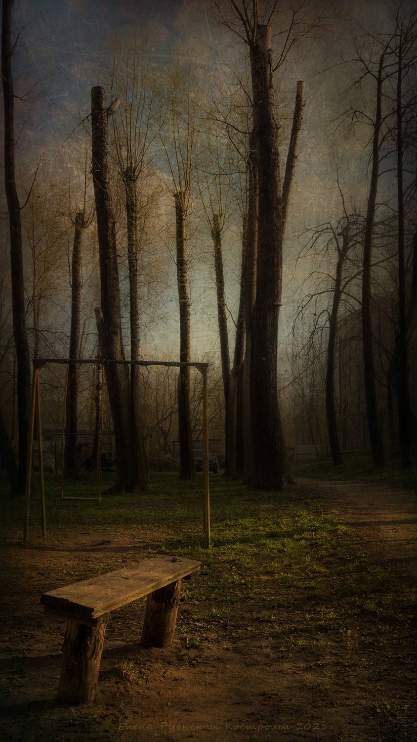 кострома, Елена Рубинская