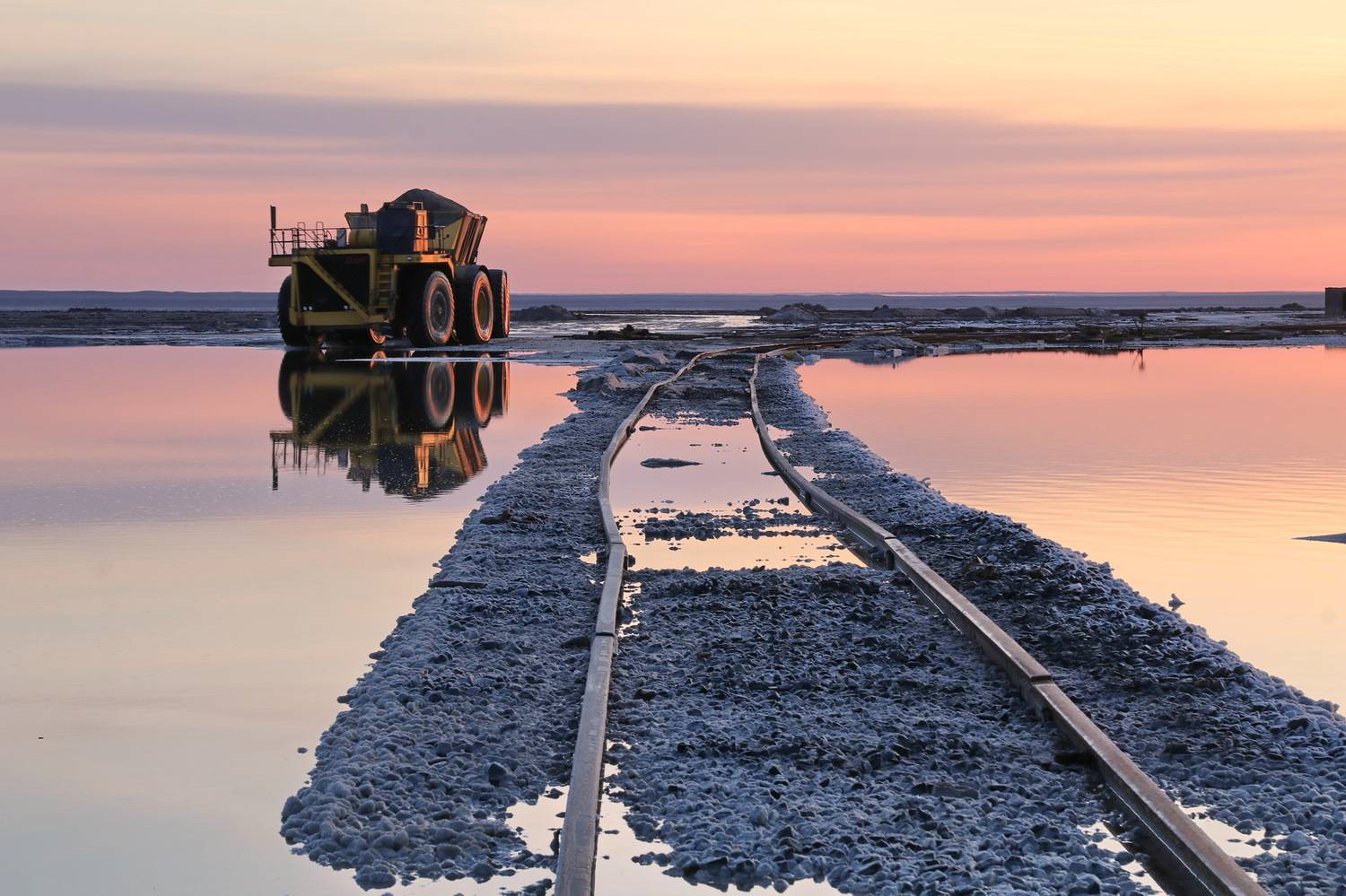 , Добролюбова Тамара