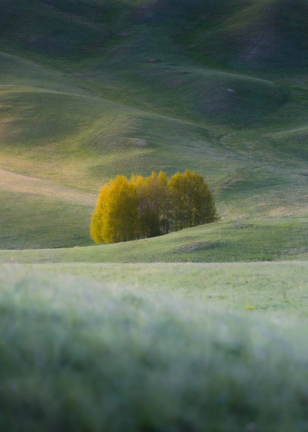 , Силантьев Даниил