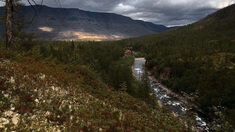 Плато Путорана  фото превью