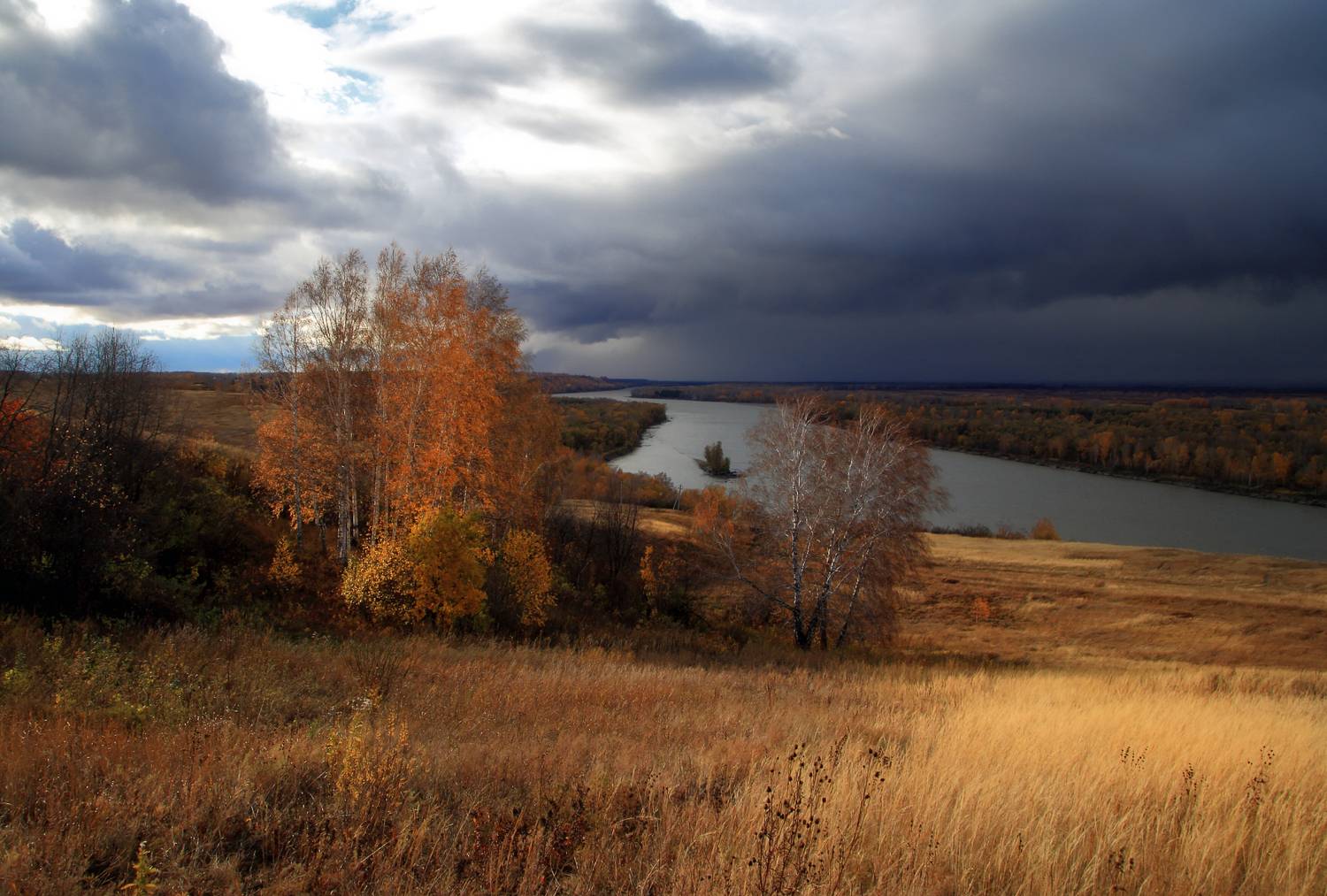 , Евгений Зинов
