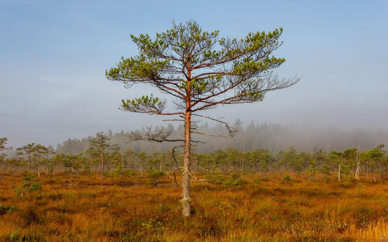 Один в поле воин фото превью