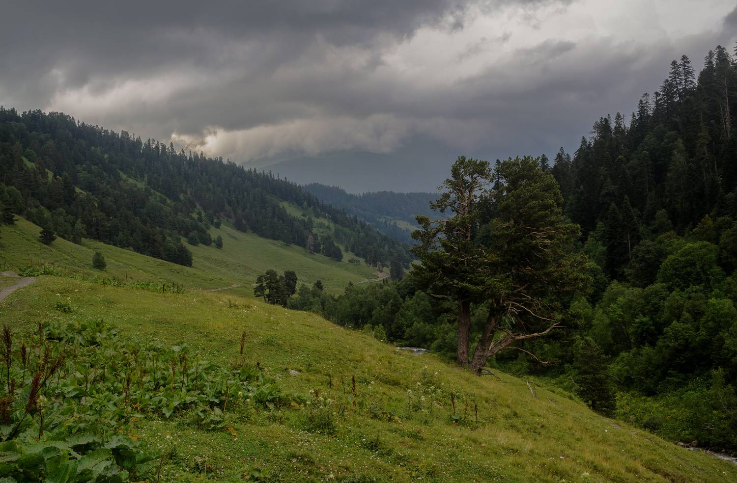 , Лысенко Сергей