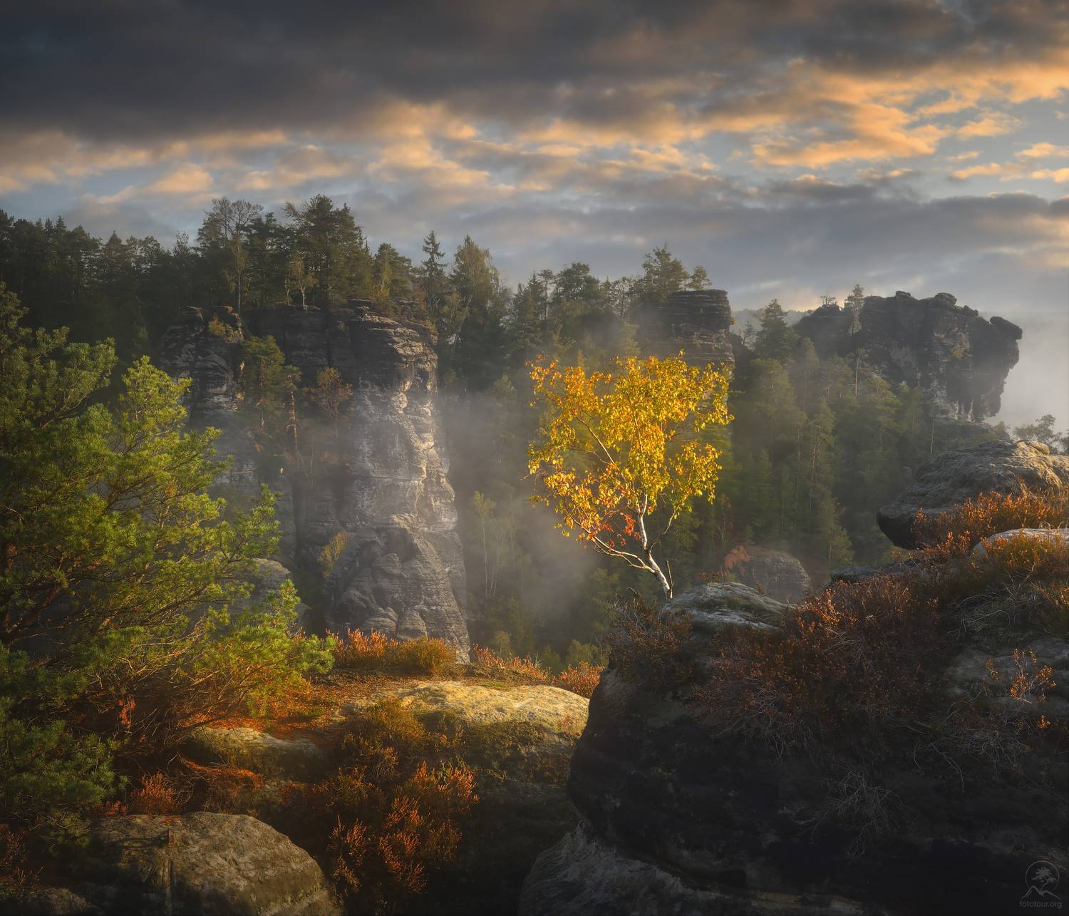 богемия, Гордиенко Анатолий