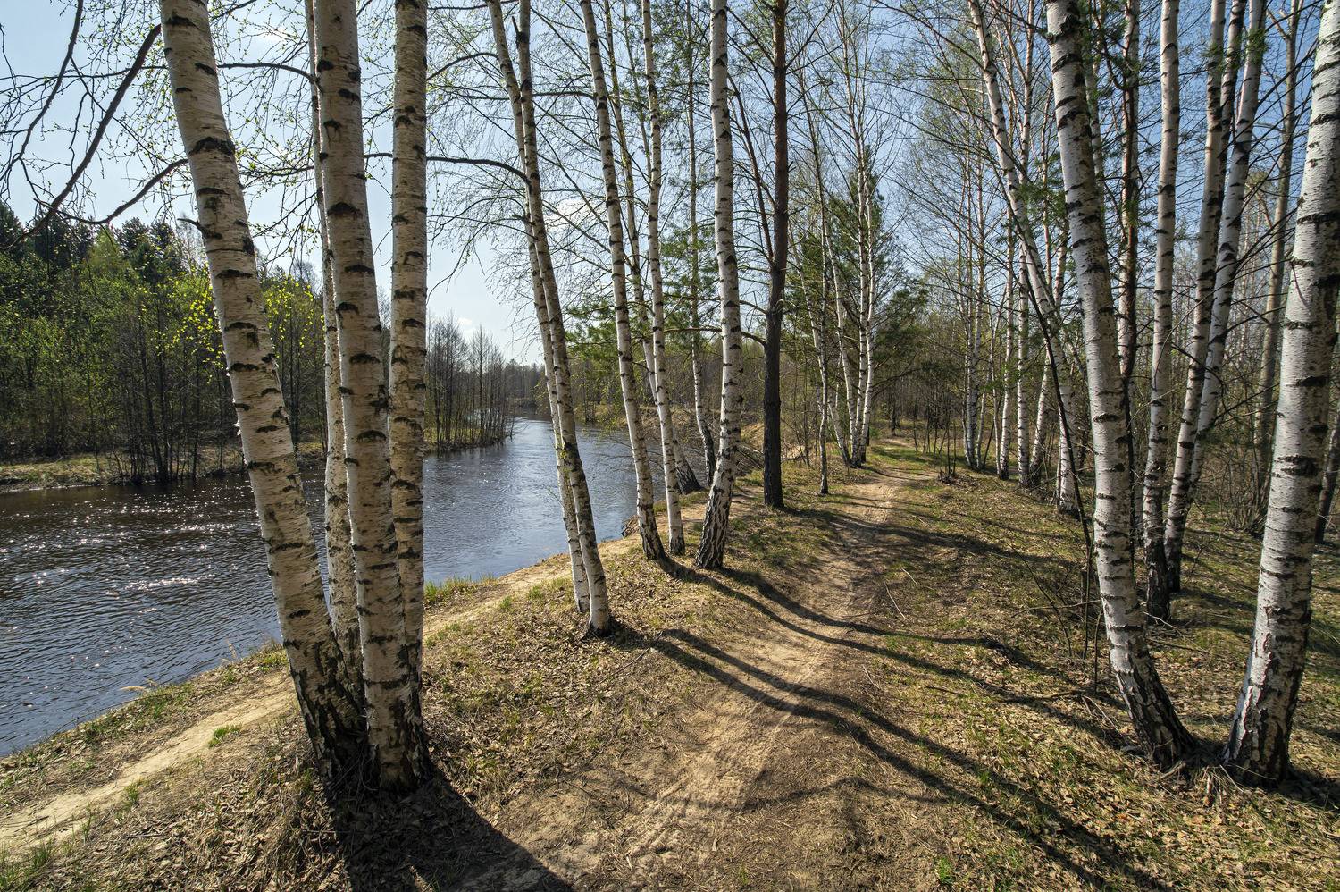 , Шитов Александр