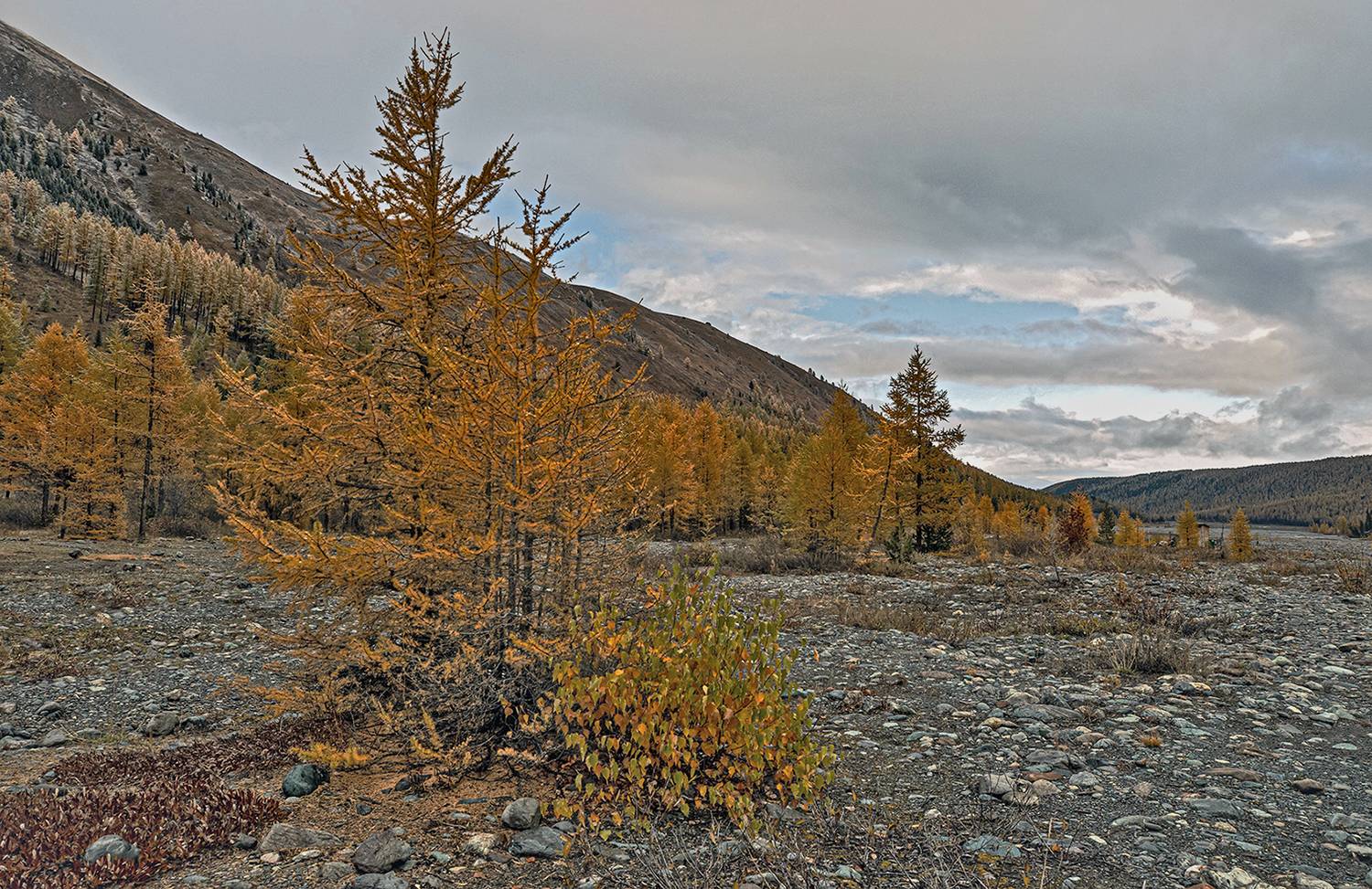 алтай, Бирюков Вячеслав