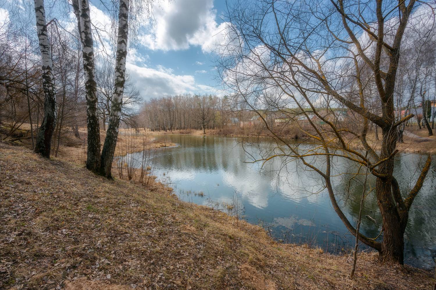 пейзаж, отражение, Московская область, природа, петрица, река, Мартыненко Дмитрий