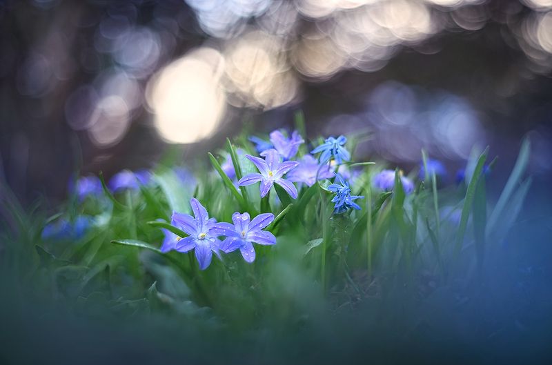 Мечты фото превью