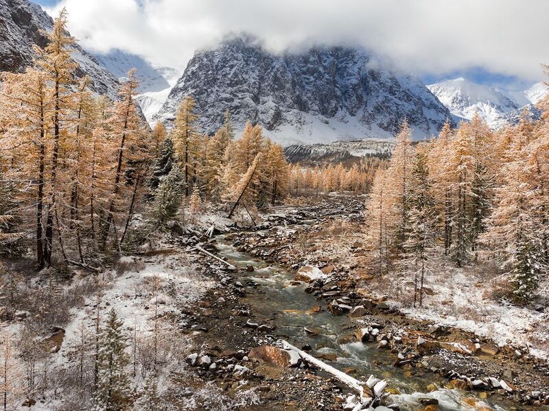 Россия, Алтай, Актру Актру фото превью