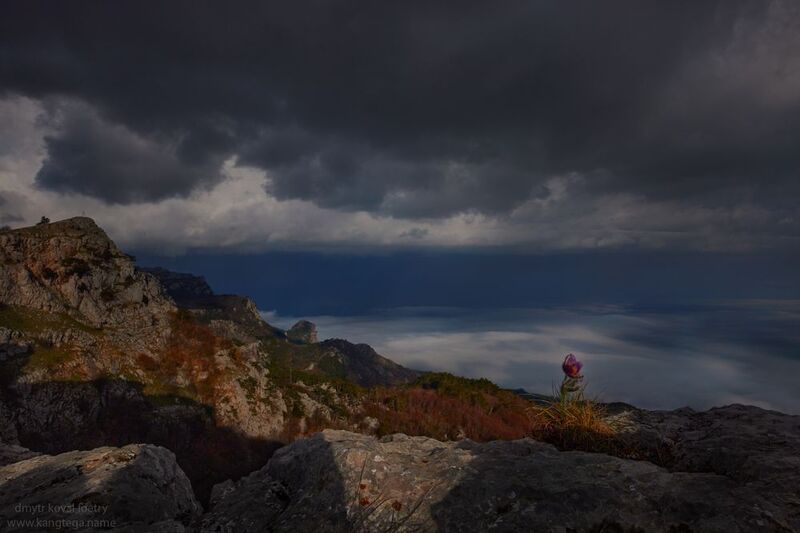 пейзажемагьё, пейзаж-как-виденье Пейзаж одного сна … фото превью