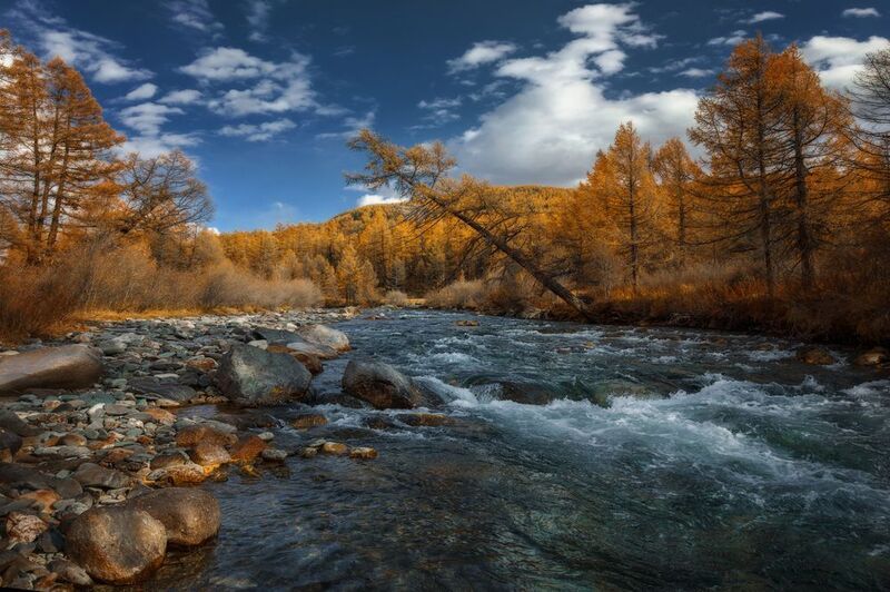 Чистые воды Алтая фото превью
