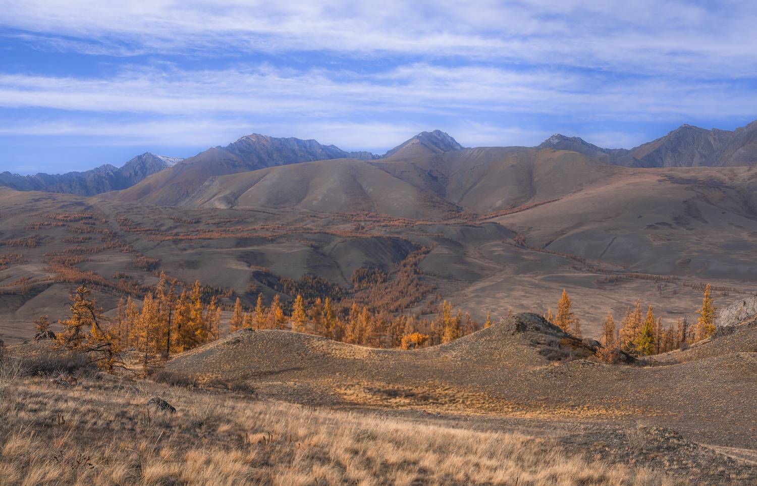 россия, горный алтай,осень, Поляков Андрей