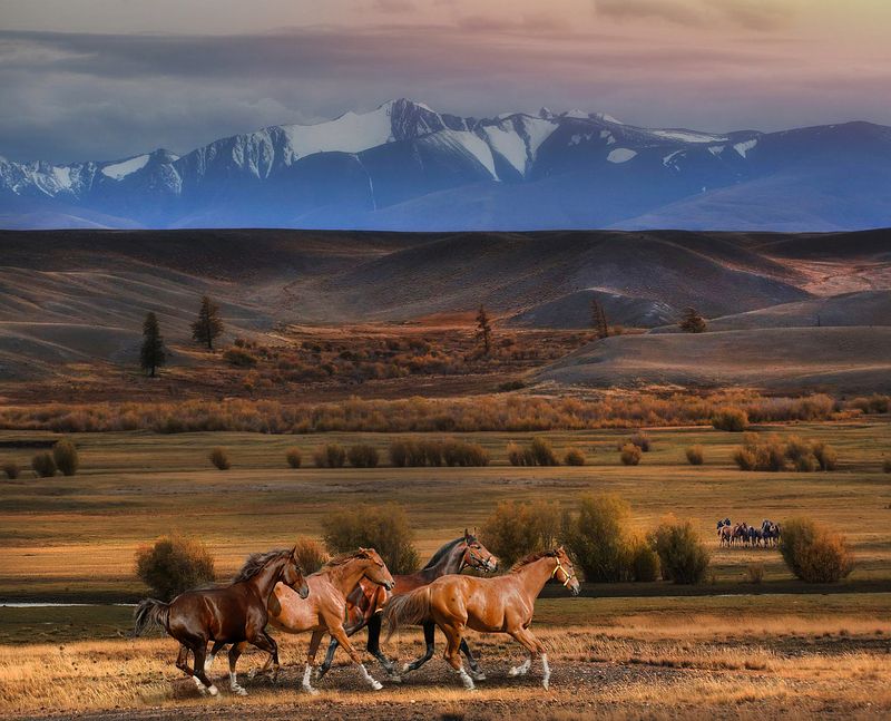 Алтайские зарисовки фото превью
