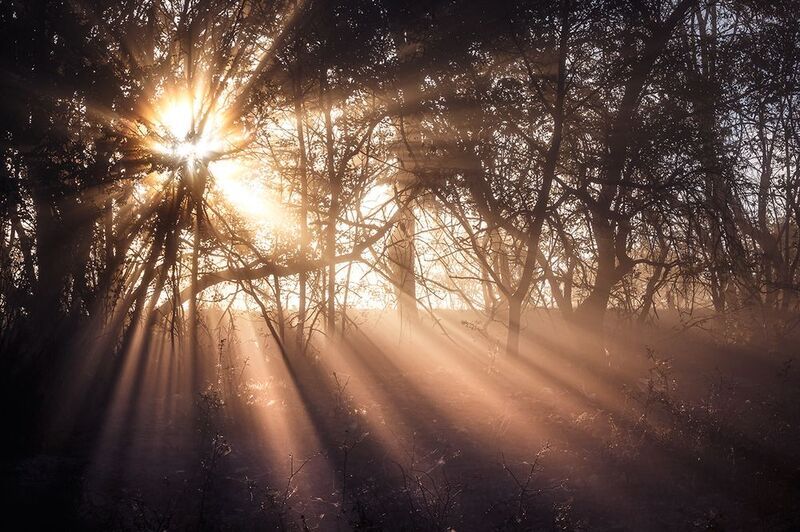 2024-09-29 фото превью