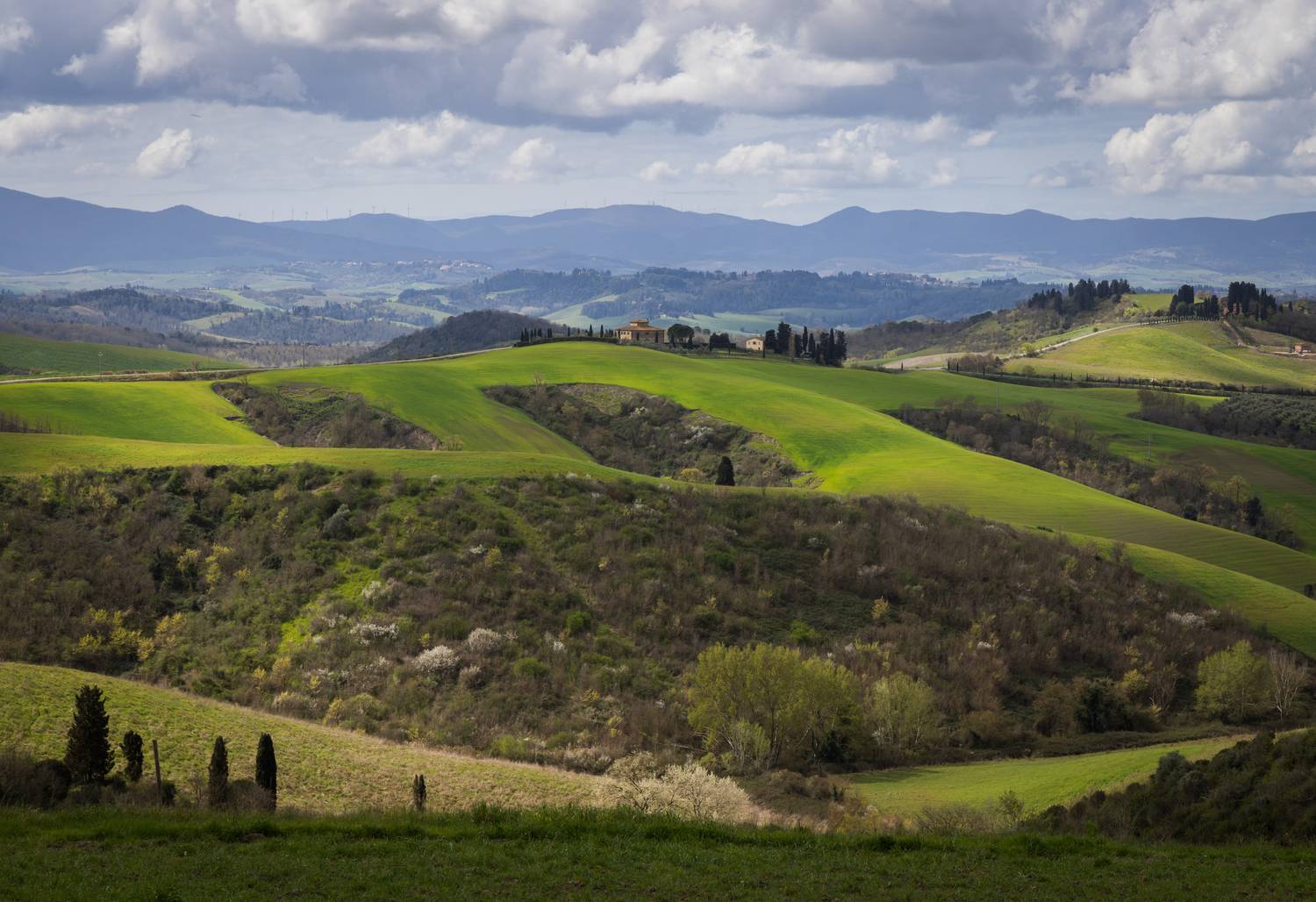 , Алекс Римский