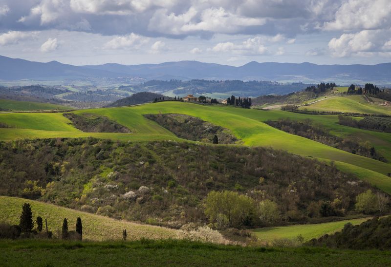 Весенний день фото превью