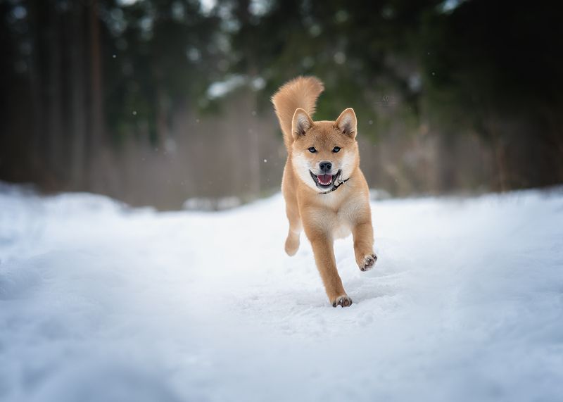 Апрель был разным)))  фото превью
