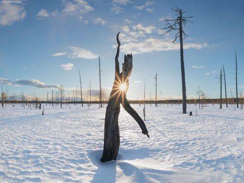 Легенда о Зарни Ань