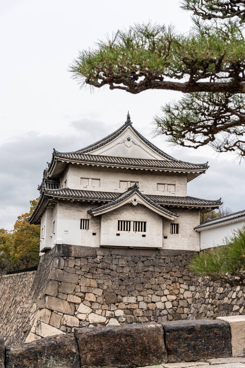 Японияб Осака, Михаил