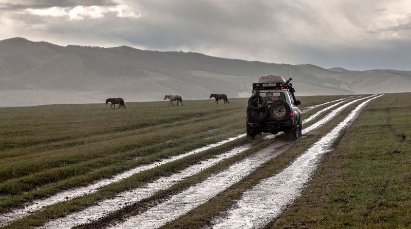 Дождливые 207 (3 + 204) лошадиных сил... фото превью