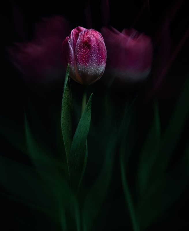 *** фото превью