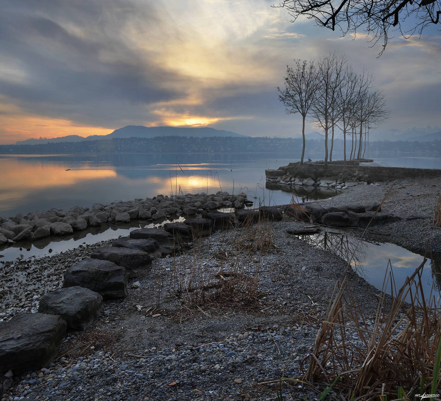 swiss, Матвеев Николай