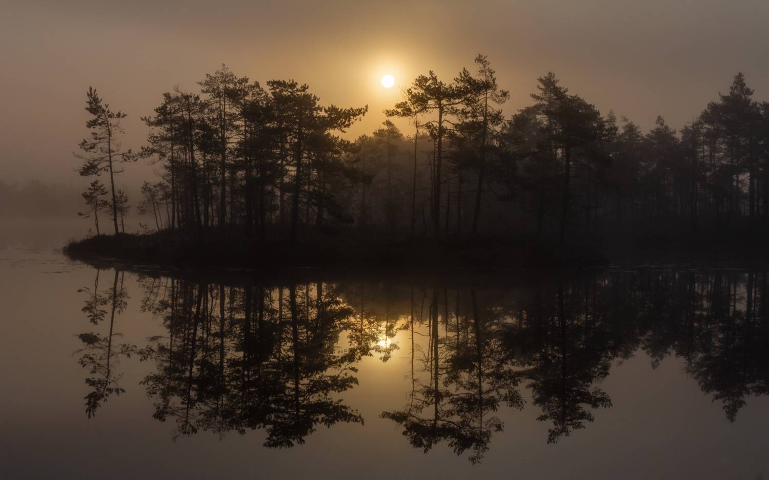 , Комарова Вера